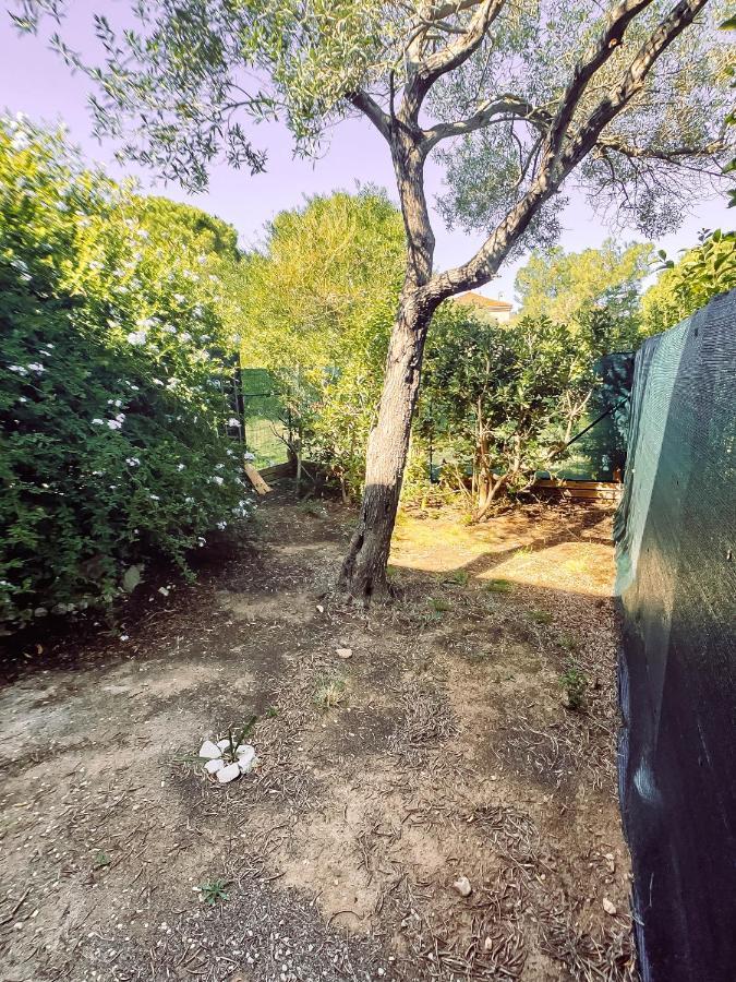 Appartement Ravissant T1 Avec Jardinet Proche De La Hyères